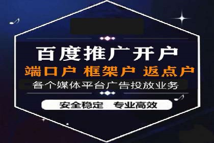 SEM竞价实战：成功案例解析